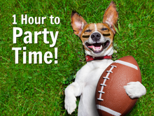 Load image into Gallery viewer, Dogs Are a Girls Best Friend Themed Facebook Party