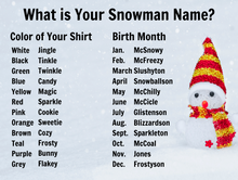 Load image into Gallery viewer, January/Winter Themed Facebook Party