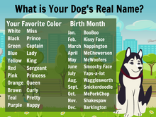 Load image into Gallery viewer, Dogs Are a Girls Best Friend Themed Facebook Party