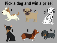 Load image into Gallery viewer, Dogs Are a Girls Best Friend Themed Facebook Party