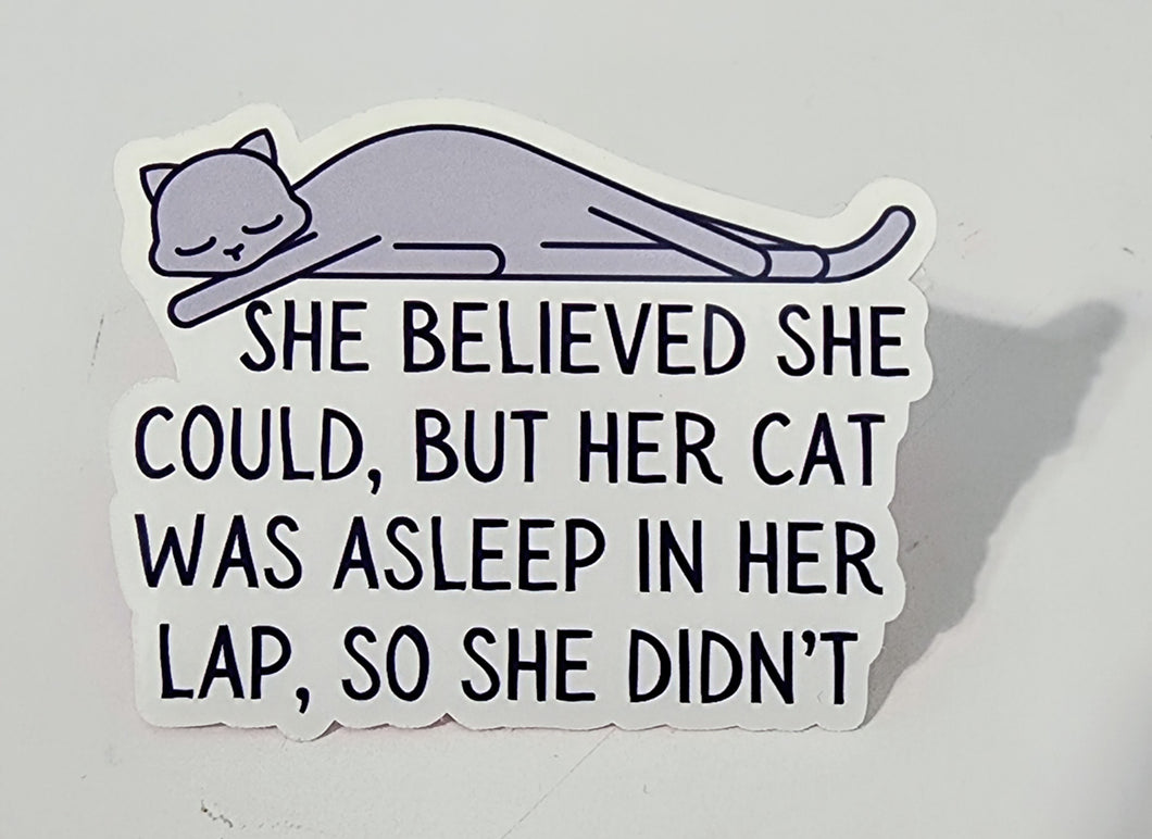 She Believed She Could (cat)