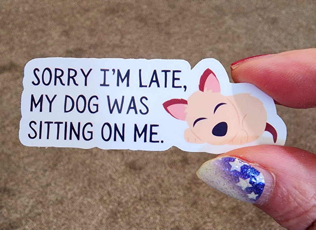 Sorry I'm Late (dog)